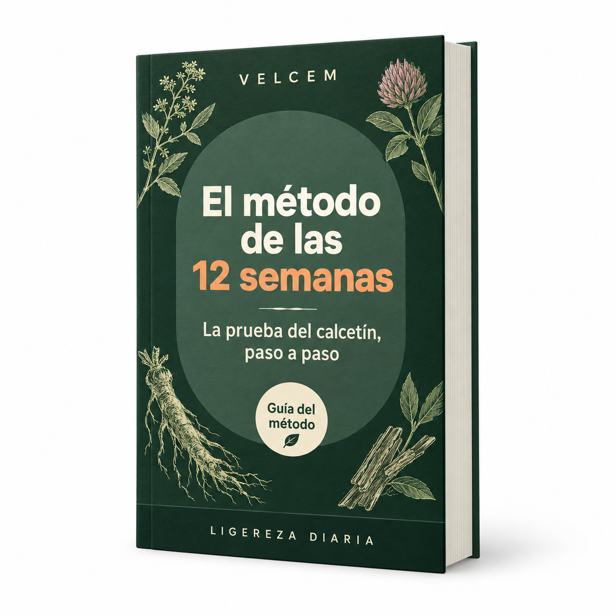 Regalo · Libro «El método de las 12 semanas»